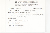 星果佛甲草藏品圖，第2張