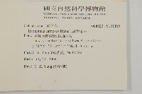 厚葉衛矛, 源一木藏品圖，第2張