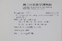 金平氏破布子藏品圖，第2張