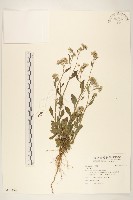 登錄號:S101194藏品圖，第1張