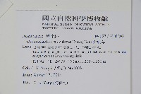 針刺草藏品圖，第2張