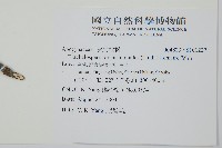 絡石藏品圖，第2張