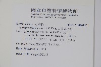 太魯閣小檗藏品圖，第2張