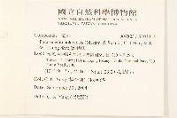 能高蟹甲草藏品圖，第2張