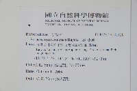 玉山小蘗藏品圖，第2張