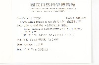 齒葉南芥、齒葉筷子芥藏品圖，第2張