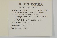 南湖大山蠅子草藏品圖，第2張