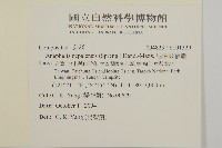 尼泊爾籟簫藏品圖，第2張