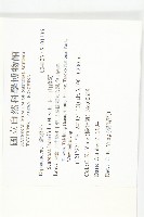 玉山山蘿蔔藏品圖，第2張
