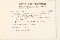 臺灣劉寄奴藏品圖，第2張