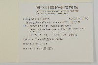 南湖大山蠅子草藏品圖，第2張