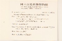 臺灣福王草藏品圖，第2張