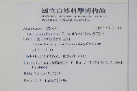 針刺草藏品圖，第2張