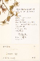 登錄號:S101529藏品圖，第2張