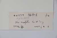 登錄號:S101607藏品圖，第2張