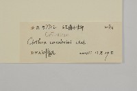 江南山柳藏品圖，第3張