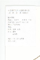 毛姬旋花藏品圖，第2張