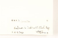 雞兒腸藏品圖，第3張