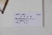 登錄號:S101725藏品圖，第2張