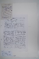 陽春秋海棠藏品圖，第1張