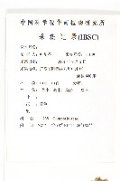 蟛蜞菊藏品圖，第2張