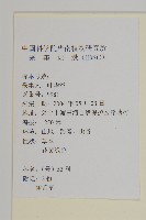 雀舌草藏品圖，第2張