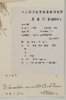 魚眼菊藏品圖，第2張