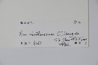 登錄號:S101820藏品圖，第2張