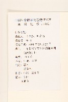 秋鼠麴草藏品圖，第2張