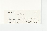 葶藶藏品圖，第3張