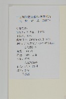 荷蓮豆草、菁芳草藏品圖，第2張