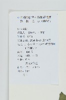 蒼耳藏品圖，第2張