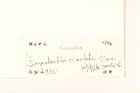 豨簽藏品圖，第3張