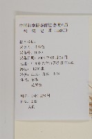 小薊藏品圖，第2張