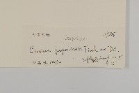 小薊藏品圖，第3張