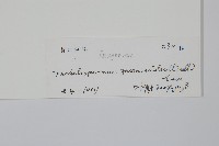 絡石藏品圖，第2張