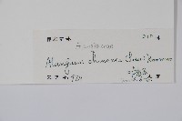 八角楓藏品圖，第2張