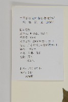 滇邊南蛇藤藏品圖，第2張