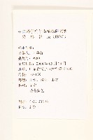 鵝仔草藏品圖，第2張