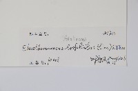 三葉五加藏品圖，第2張