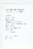 禿瓣杜英藏品圖，第2張