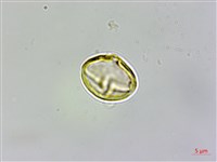 登錄號:S102047藏品圖，第3張