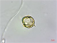 登錄號:S102047藏品圖，第4張