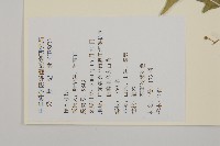 大丁黃藏品圖，第2張