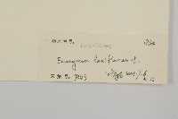 大丁黃藏品圖，第3張