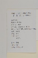 白花地膽草藏品圖，第2張