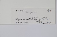 登錄號:S102104藏品圖，第2張