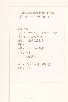 華麻花頭藏品圖，第2張