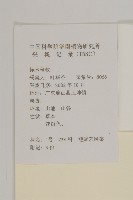 短冠東鳳菜藏品圖，第2張