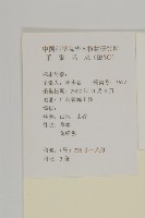 小葉一點紅藏品圖，第2張